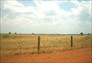 Foto do terreno