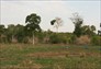 Foto do terreno