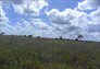 Foto do terreno