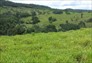 Foto do terreno