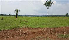 Veja Mais Fotos!