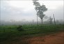 Foto do terreno