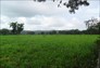 Foto do terreno