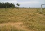Foto do terreno