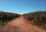 Foto do terreno