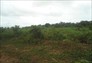 Foto do terreno