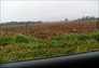 Foto do terreno