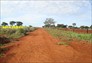 Foto do terreno