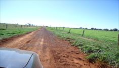 Veja Mais Fotos!