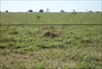Foto do terreno