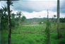 Foto do terreno