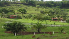 Veja Mais Fotos!