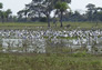 Foto do terreno