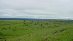 Veja Mais Fotos!