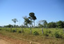 Foto do terreno