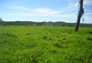 Foto do terreno