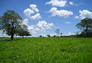 Foto do terreno