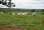 Foto do terreno