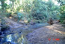 Foto do terreno