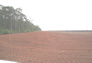 Foto do terreno