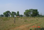 Foto do terreno