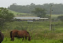 Foto do terreno