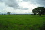 Foto do terreno