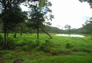 Foto do terreno