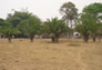 Foto do terreno