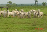 Foto do terreno