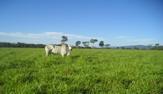 Veja Mais Fotos!