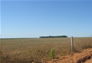 Foto do terreno