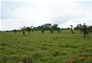 Foto do terreno