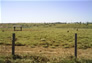Foto do terreno