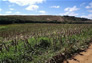 Foto do terreno
