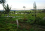Foto do terreno