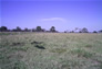Foto do terreno