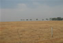 Foto do terreno