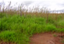 Foto do terreno