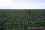 Foto do terreno