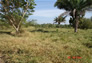 Foto do terreno