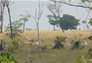 Foto do terreno