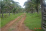 Foto do terreno
