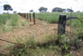 Foto do terreno