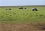 Foto do terreno