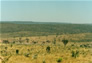Foto do terreno