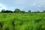 Foto do terreno