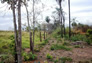 Foto do terreno