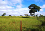 Foto do terreno
