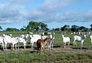 Foto do terreno